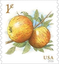 1c Apples (Roll Of 10,000)