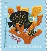 Coral Reefs Postcard Rate (Roll Of 100)