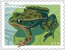 Frogs (Book Of 20)
