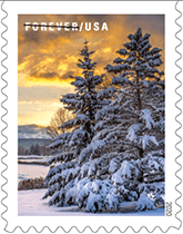 Winter Scenes (Book Of 20)